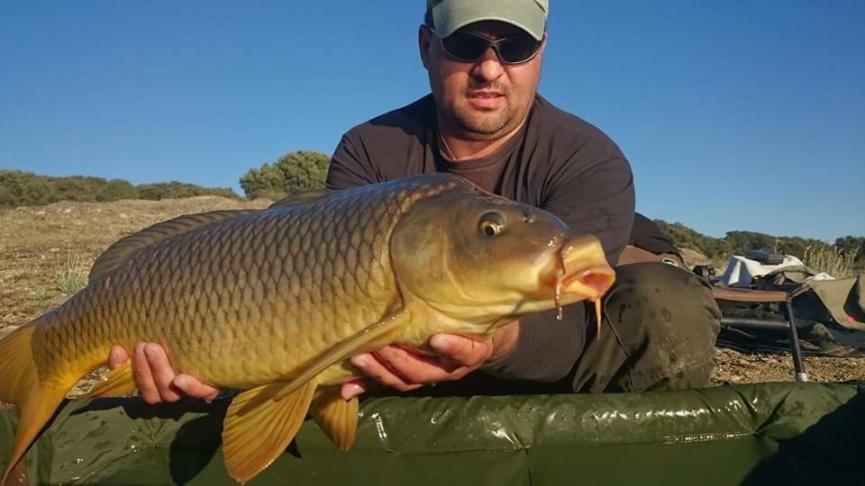 O toamnă târzie.  - fbimg1450554791561.jpg